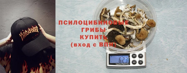 марки nbome Богданович