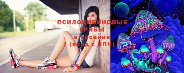 марки nbome Богданович