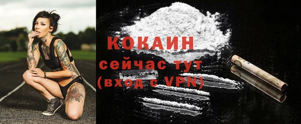 тгк Богородицк
